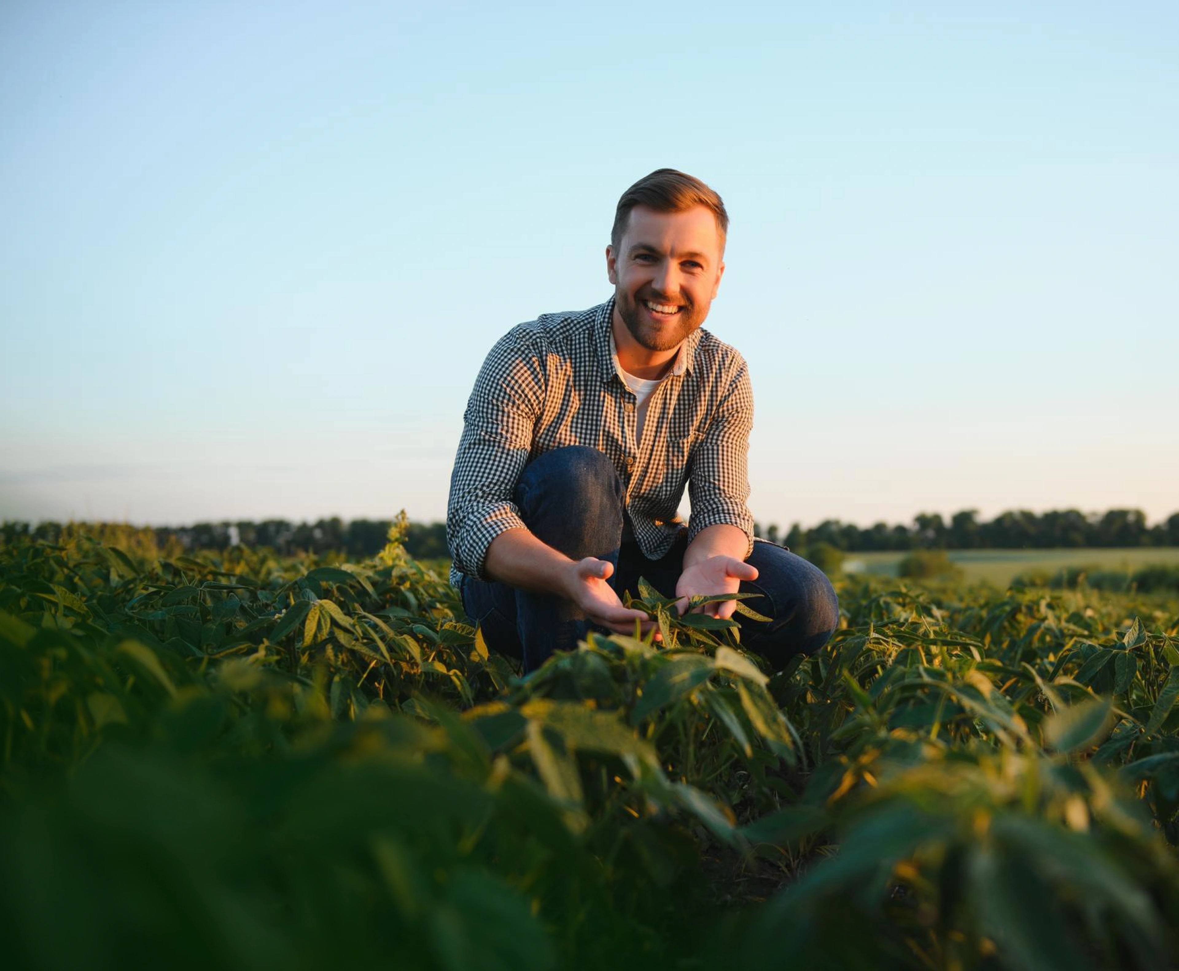 bg_sec_img_homepage_sctn1